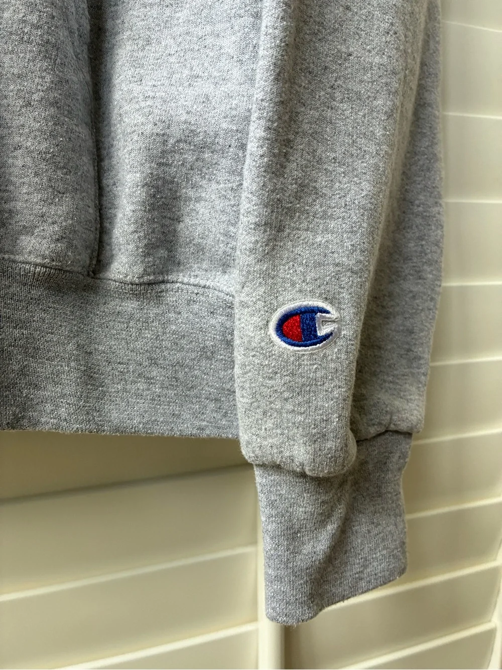 NWT Champion The University of Akron Zips embroidered Gray Hoodie men’s L